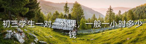 初三學生一對一補課，一般一小時多少錢
