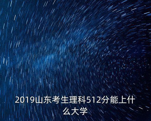 2019山東考生理科512分能上什么大學