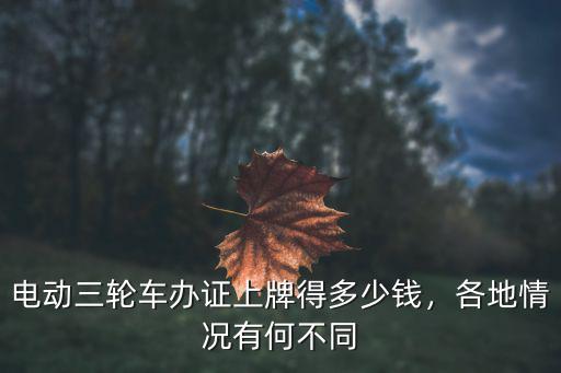 山東老式三輪車多少錢,三輪摩托車現在買大概多少錢