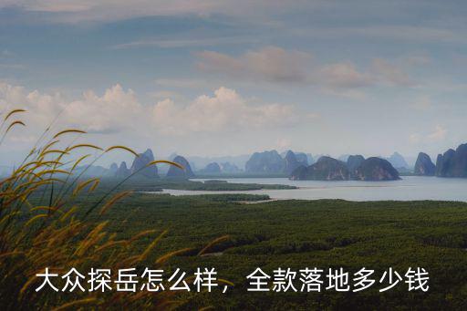 東莞大眾探岳落地價多少,大眾探岳怎么樣
