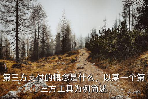 第三方支付的概念是什么，以某一個第三方工具為例簡述