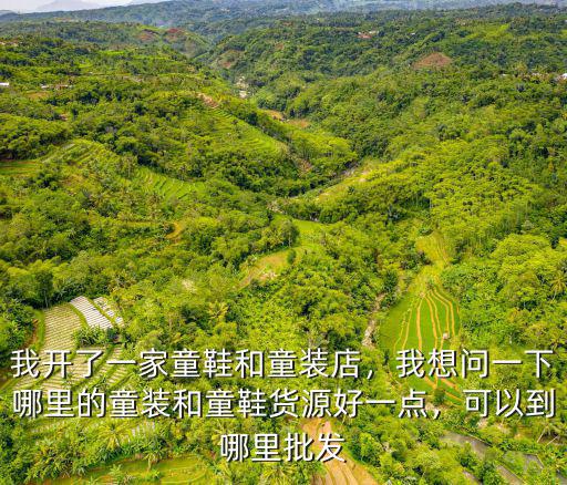 東莞哪里批發高端童裝的,可以到哪里批發