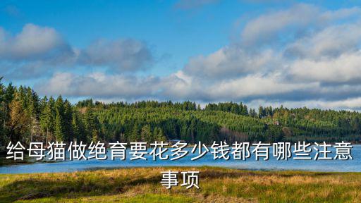 貓絕育青島多少錢,公貓絕育多少錢