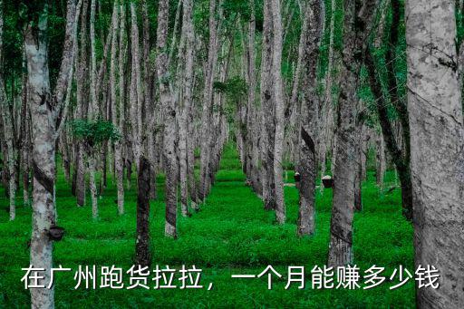 廣州開出車可以賺多少錢,廣州網(wǎng)約車每月可以賺多少錢