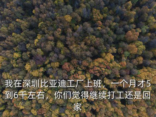 2019深圳比亞迪工資待遇怎么樣,我在深圳比亞迪工廠上班