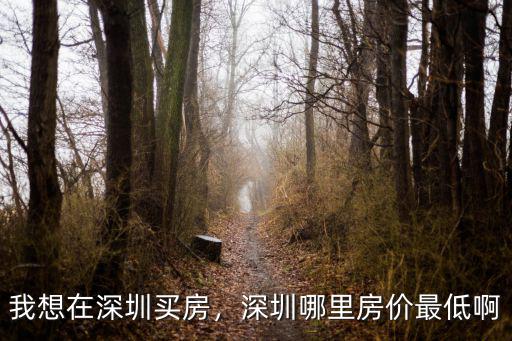 楚劇在深圳哪里,深圳哪里房價(jià)最低啊