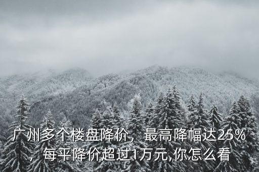 廣州房價降價最多是哪里,廣州多個樓盤降價