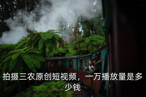 拍攝三農原創短視頻，一萬播放量是多少錢