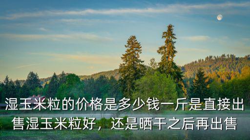 濕玉米粒的價格是多少錢一斤是直接出售濕玉米粒好，還是曬干之后再出售