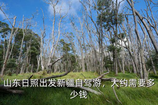從山東拖車到新疆得多少錢,大約需要多少錢