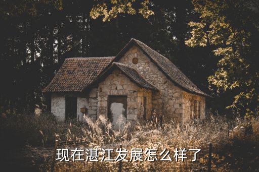 2026湛江發(fā)展怎么樣,現(xiàn)在湛江發(fā)展怎么樣了