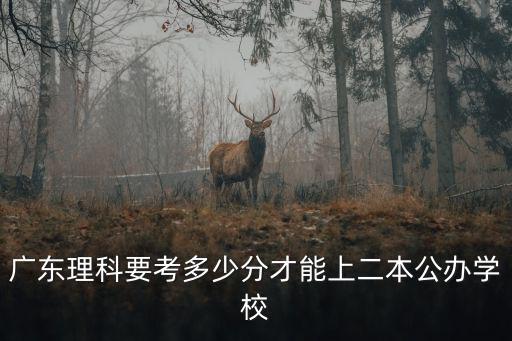 廣東理科要考多少分才能上二本公辦學校