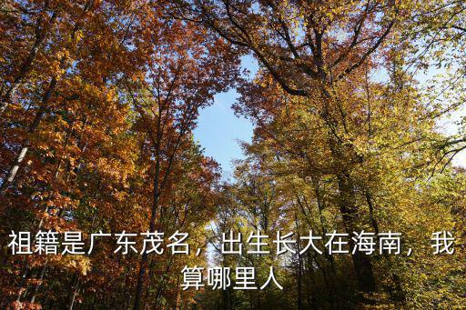 廣東省在山東哪里,山東省的平原主要分布在哪里
