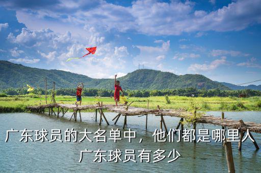 劉若鵬是廣東哪里人,他們都是哪里人