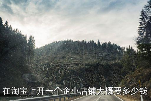 東莞哪里開淘寶的多少錢,現在開淘寶店大概需要多少錢