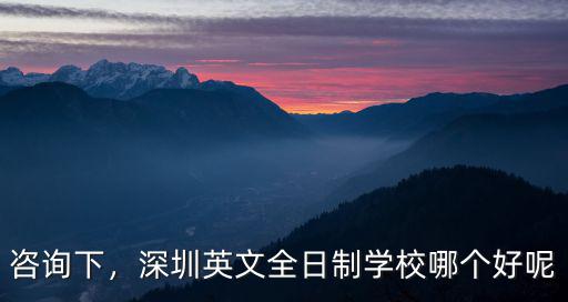 咨詢下，深圳英文全日制學(xué)校哪個好呢