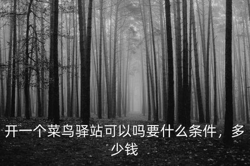 開一個(gè)菜鳥驛站可以嗎要什么條件，多少錢