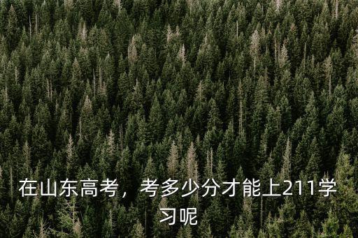 在山東高考，考多少分才能上211學習呢