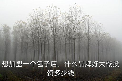 濟南專業包子鋪加盟多少錢,想加盟一個包子店