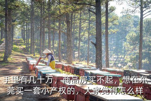 手里有幾十萬，商品房買不起，想在東莞買一套小產(chǎn)權(quán)的，大家覺得怎么樣