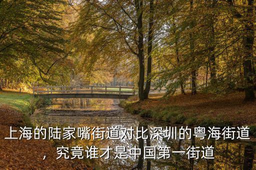上海的陸家嘴街道對比深圳的粵海街道，究竟誰才是中國第一街道