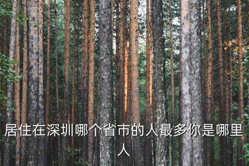 深圳余云德是哪里人,一個人在深圳是什么感覺