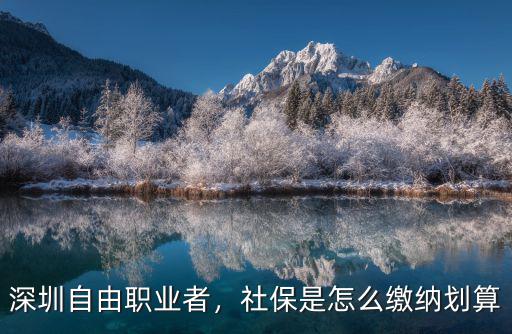 深圳自由職業(yè)者，社保是怎么繳納劃算