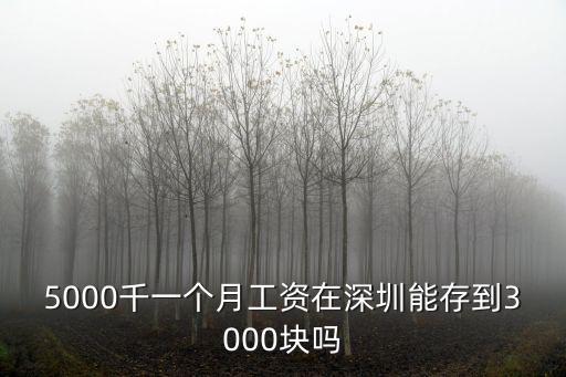 5000千一個月工資在深圳能存到3000塊嗎