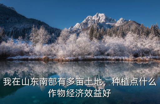 我在山東南部有多畝土地，種植點(diǎn)什么作物經(jīng)濟(jì)效益好