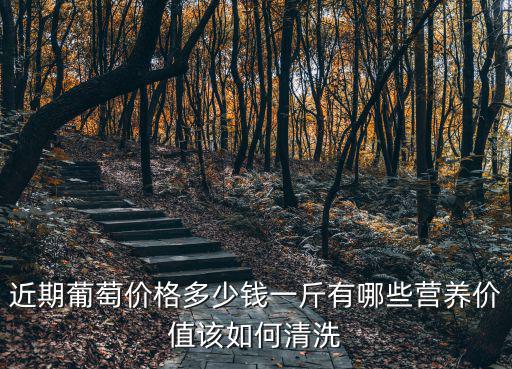 近期葡萄價(jià)格多少錢(qián)一斤有哪些營(yíng)養(yǎng)價(jià)值該如何清洗