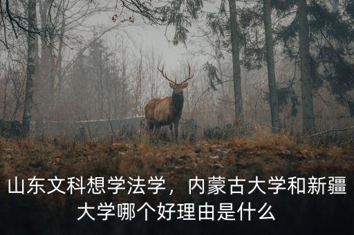 山東文科想學法學，內蒙古大學和新疆大學哪個好理由是什么