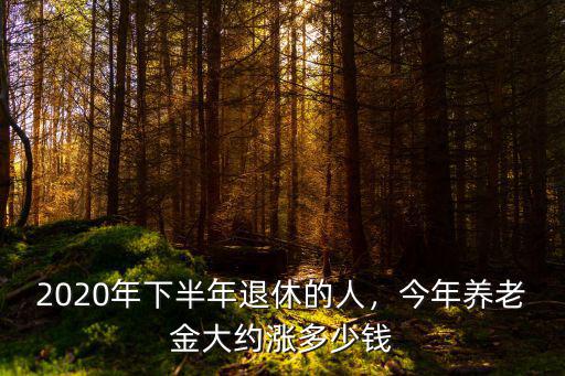 山東省2019年退休工資漲多少,2020年下半年退休的人