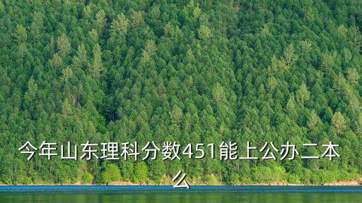 今年山東理科分數451能上公辦二本么