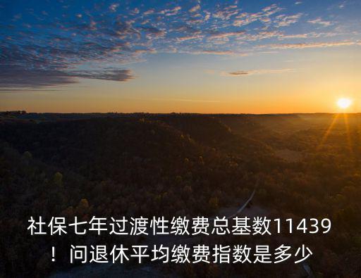 社保七年過(guò)渡性繳費(fèi)總基數(shù)11439！問(wèn)退休平均繳費(fèi)指數(shù)是多少