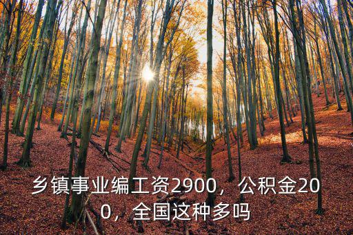 臨沂鄉鎮事業編制工資多少,臨沂事業編工資怎么樣