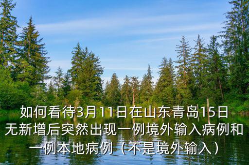 青島境外輸入多少病例,青島昨日的新增病例