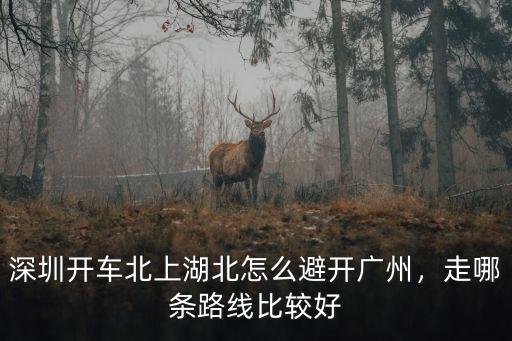 深圳開車北上湖北怎么避開廣州，走哪條路線比較好