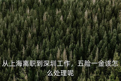 上海去深圳工作社保怎么辦理,從上海離職到深圳工作