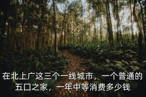 廣東一線城市消費多少錢,在廣東這種一線城市