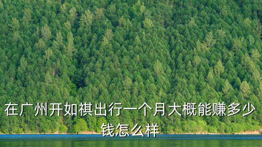 在廣州開如祺出行一個月大概能賺多少錢怎么樣