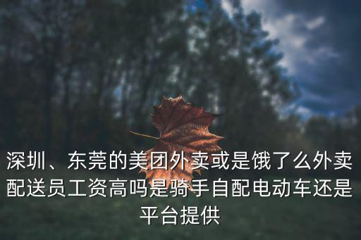 深圳坪山區外賣騎手工資大概多少,想在深圳做美團外賣的騎手