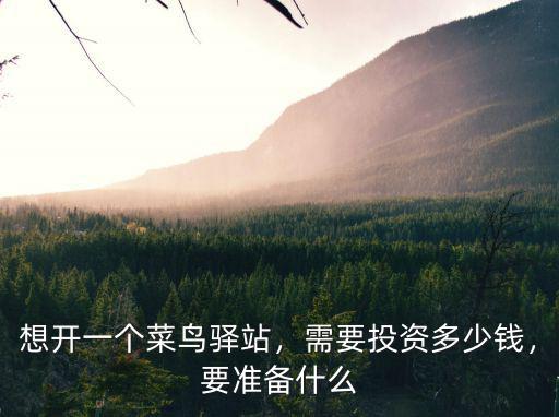 想開一個菜鳥驛站，需要投資多少錢，要準備什么