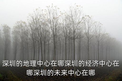 深圳游客中心在哪里,深圳的地理中心在哪