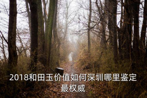 深圳哪里可以鑒定玉器價格,玉石去哪里鑒定可靠