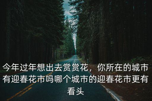 廣東江門迎春花市在哪里,你所在的城市有迎春花市嗎