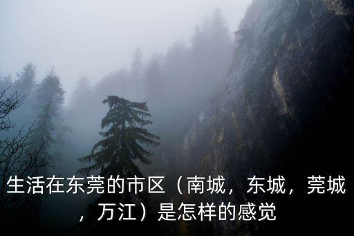 去東莞生活會怎么樣嗎,你認為在東莞生活怎么樣
