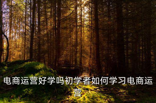 東莞在哪里可以學(xué)蝦皮電商運營,電商運營好學(xué)嗎