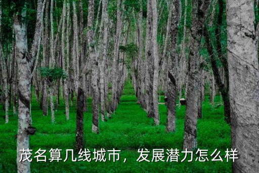 茂名算幾線城市，發(fā)展?jié)摿υ趺礃? class=