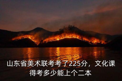 山東省美術聯考考了225分，文化課得考多少能上個二本