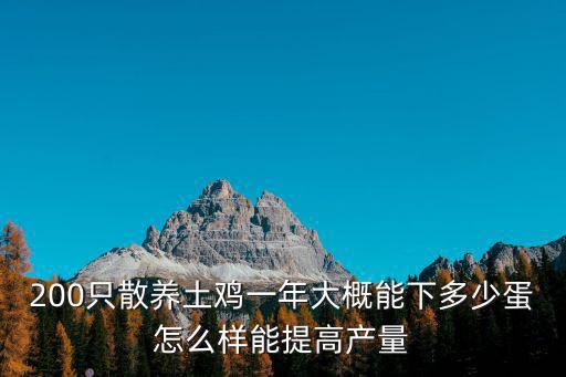200只散養土雞一年大概能下多少蛋怎么樣能提高產量